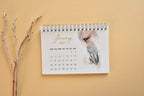 2027 Bird Desk Calendar, Watercolor Birds, Small Standing Flip Calendar, Bird Lover Gift