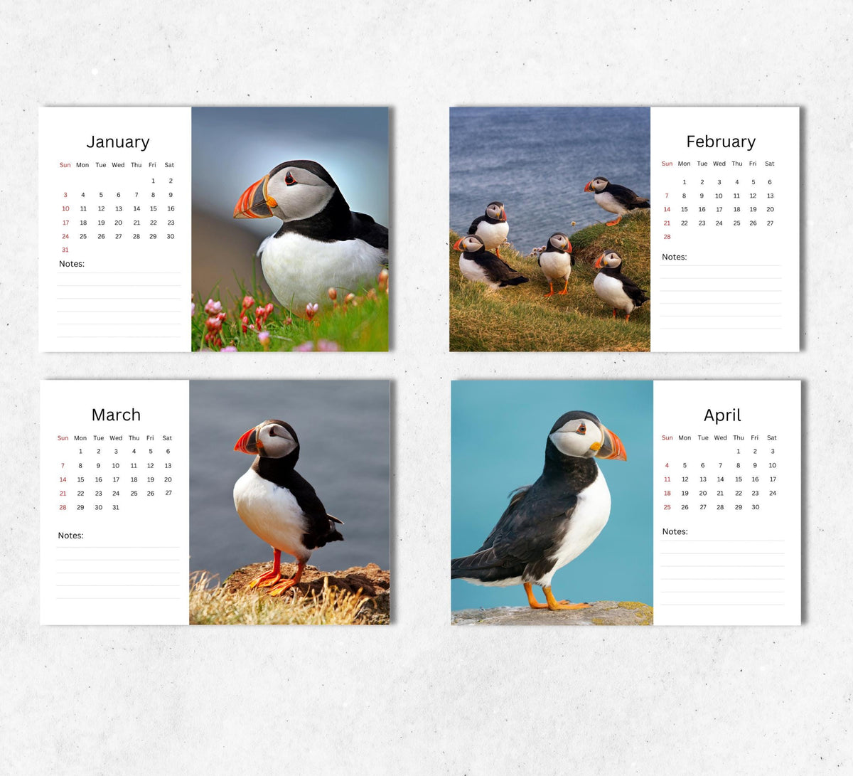 Puffins Desk Calendar 2027-2028: Standing Flip Desktop Calendar with Thick Paper (15.25cm x 22cm - similar to A5)